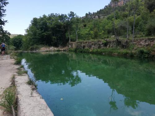 a river with green water and trees in the background at Casa rural El Majuelo in Portera