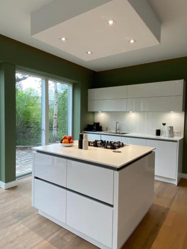 a white kitchen with green walls and white cabinets at “STADT-LAND-SCHEUNE” - luxuriös in alten Gemäuern in Braunschweig