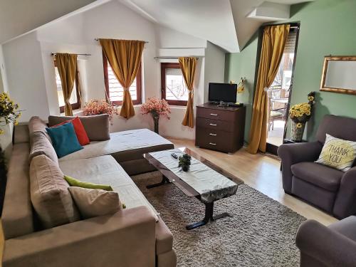 TV a/nebo společenská místnost v ubytování Apartment Stasha with free access to gym