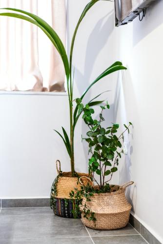 a plant in a basket sitting on a floor at Unique Experience Apartment’s in Thessaloniki