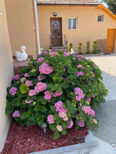 Törpi Apartman 3842 Halmaj, 68 Fő út kép - 3
