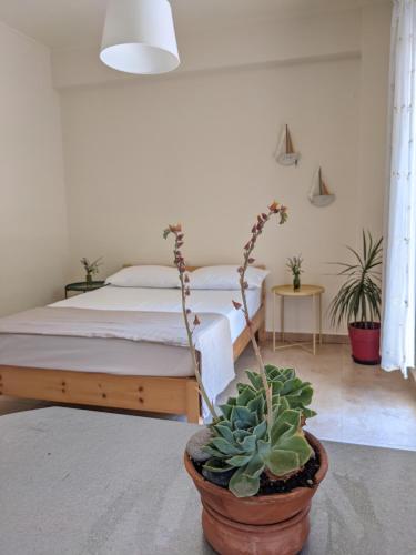 ハニア・タウンにあるEvantia's Cosy Studioのベッドルーム(ベッド1台、鉢植えの植物付)