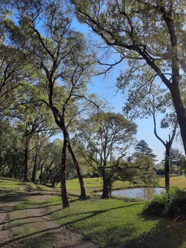 Pousada Quinta São Pedro في Itaara: مسار في حديقة فيها أشجار وبركة