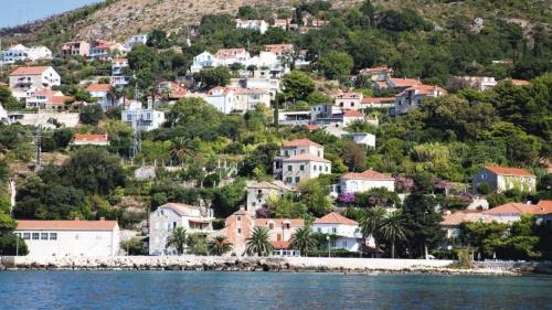 Apartment Jele