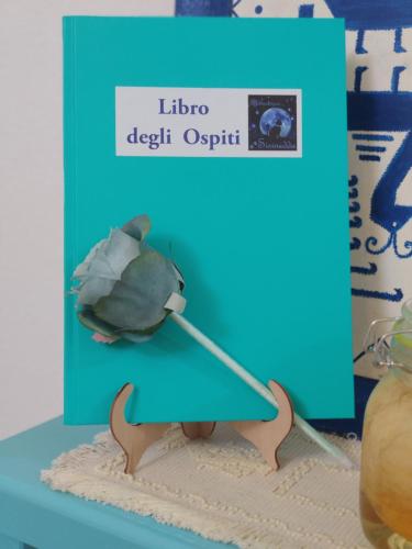 a toy turtle is in a blue box at Sisinedda in Siniscola