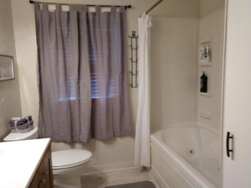 a bathroom with a shower curtain and a toilet at Lake View Cottage on Lake Erie in Ashtabula