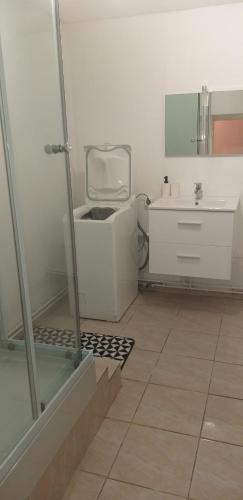 een badkamer met een wastafel en een spiegel bij LE CREUSOT in Le Creusot