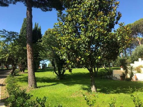 Residenza VerdeMare – Photos 4