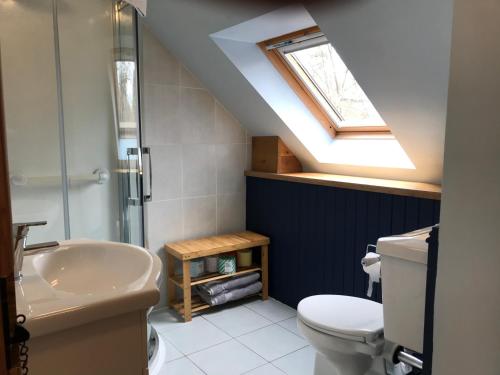 a bathroom with a sink toilet and a skylight at The Coach House at Riverlea in Blairgowrie