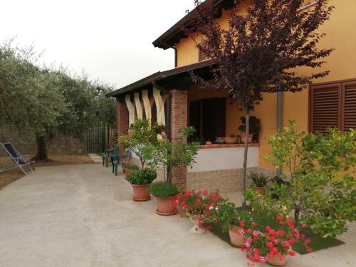 una casa con piante in vaso davanti di La casetta a Ortona