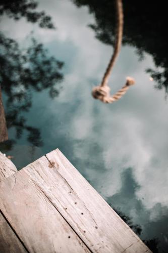 a bird is standing in the water next to a dock at Uman Glamping & Cenote Tulum in Tulum