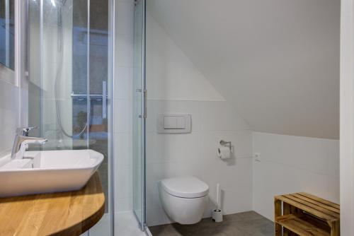 La salle de bains est pourvue de toilettes, d'un lavabo et d'une douche. dans l'établissement Landhaus Schwerin, à Schwerin
