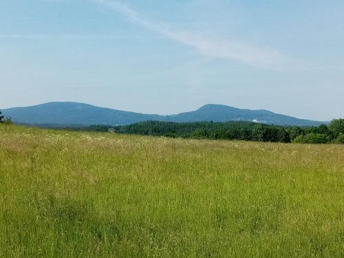a field of green grass with mountains in the background at Apartmány Kohoutek a Slepička v Novohradských horách in Nové Hrady