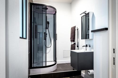une salle de bain avec douche et lavabo dans l'établissement Le Rinaldi, à Albi