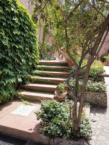 a set of stairs with a tree in the middle at Villa Grande in Messina