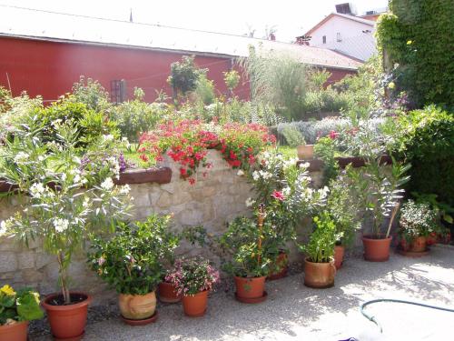 einen Garten mit vielen Topfpflanzen und Blumen in der Unterkunft Penzion Iga in Jindřichův Hradec