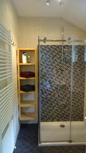 a shower with a glass door in a bathroom at Apartment ARDA in Spijk