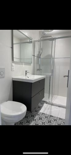 une salle de bain avec toilettes, lavabo et douche dans l'établissement Villa saint Louis 4, à Cabourg
