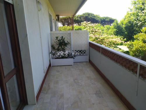 a balcony with a plant in a planter on it at B&B Tra Mare e Marmo in Marina di Carrara