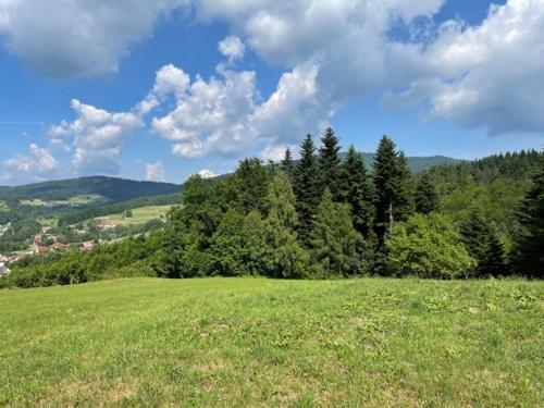 Příroda nedaleko apartmánu