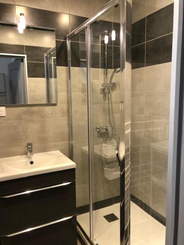une salle de bain avec douche et lavabo dans l'établissement Appartement en centre ville, à Hyères