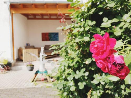 a bush with pink roses in a living room at Hotel Meuser in Wiesbaden