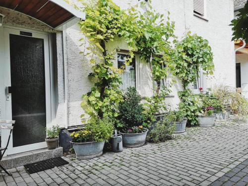 une rangée de plantes en pot sur le côté d'un bâtiment dans l'établissement Hotel Meuser, à Wiesbaden