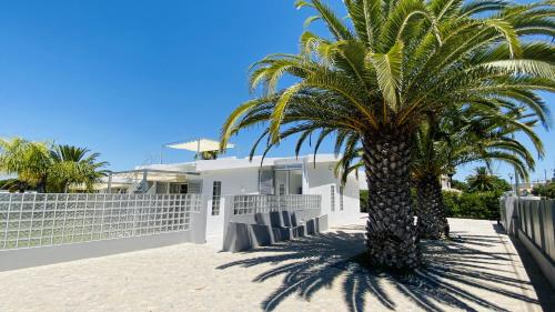 a palm tree in front of a white house at Moderna - Private Pool - 8 Guests - Quarteira in Quarteira