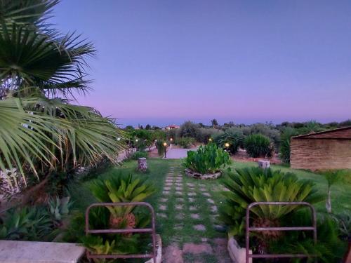 a garden with two chairs and palm trees at night at VILLA L&M in Floridia