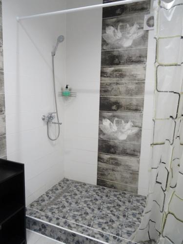 a bathroom with a shower with a wooden wall at Apart Poltavska in Kropyvnytskyi