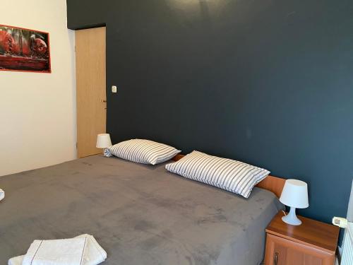 1 dormitorio con 1 cama con 2 almohadas en Dub center apartments, en Malinska
