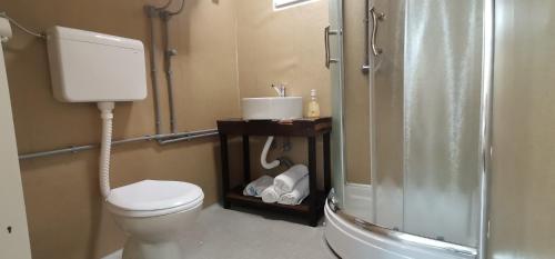 y baño con aseo, ducha y lavamanos. en Bungalovi api-centar, en Gornji Milanovac