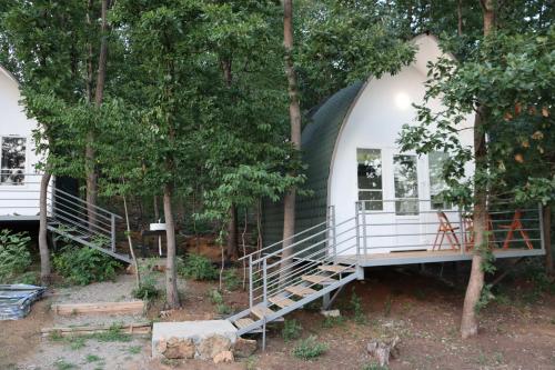 Un jardín fuera de Bungalovi Api-centar