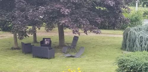 a group of chairs sitting in the grass under a tree at Les Dineux Village in Trémeur