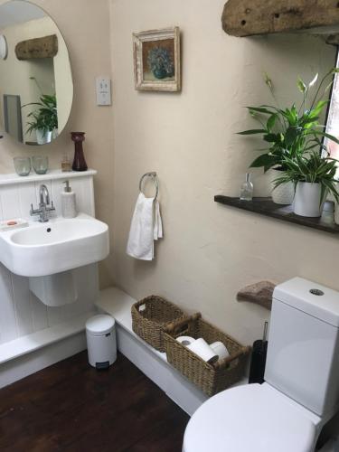 een badkamer met een wastafel, een toilet en een spiegel bij Historic converted byre in courtyard of 16C house in Caldbeck