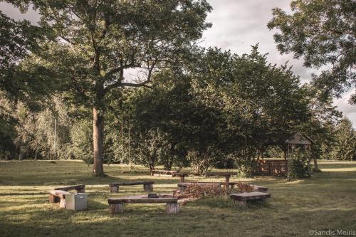 a group of picnic tables in a park with a tree at Viesu nams “Bauļi” in Ventspils