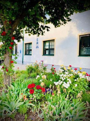 Jardín al aire libre en Pension Gartner