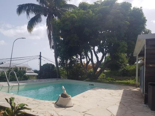 uma piscina com uma estátua ao lado de uma palmeira em Les Gites L'archipel - gite Les Saintes em Saint-Claude