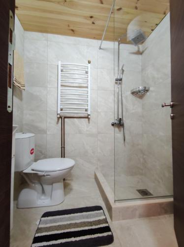 a bathroom with a toilet and a glass shower at Apartment Winter Star in Kolašin