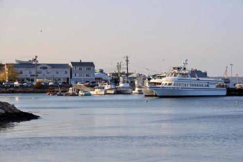 a group of boats are docked in a harbor at Harbourtown Suites in Plymouth