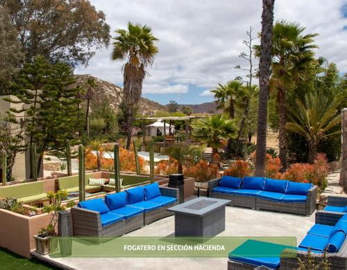 a patio with blue couches and palm trees at Hotel Boutique Valle de Guadalupe & Spa in Valle de Guadalupe
