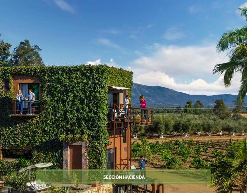 people on a balcony of a building with vines at Hotel Boutique Valle de Guadalupe & Spa in Valle de Guadalupe