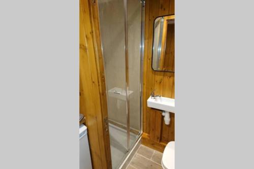 a bathroom with a shower and a sink and a mirror at Malthouse Farm Cottage Carriage in Dilhorne