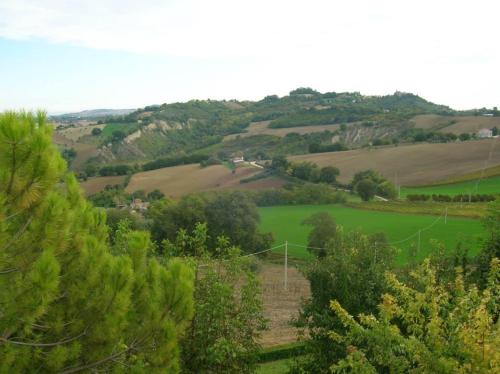 a view of a green field with a fence at Country House "I luoghi dell' anima"con piscina e giardino in Montottone