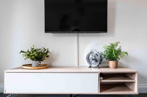 a tv on top of a white cabinet with two plants at ✪ LEISURE/BUSINESS ✪ 1 Bedroom Apt , Free Parking in Swansea