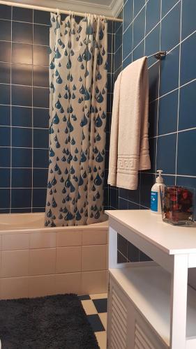 uma casa de banho com paredes em azulejos azuis e um chuveiro em Sobreiro Apartamentos em Rio Caldo