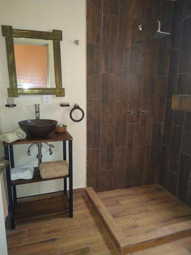La salle de bains est pourvue d'un lavabo et d'une douche. dans l'établissement Hotel Spa Hacienda Real la Nogalera, à Tequisquiapan