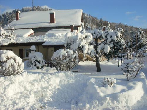 Gîtes Les Grandes Voies - Clé Vacances في Le Ménil: منزل مغطى بالثلج مع الأشجار أمامه