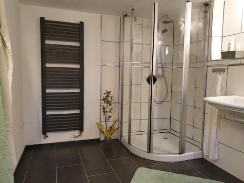 uma casa de banho com um chuveiro e um lavatório. em Ferienwohnung zur Töpferstube em Spabrücken
