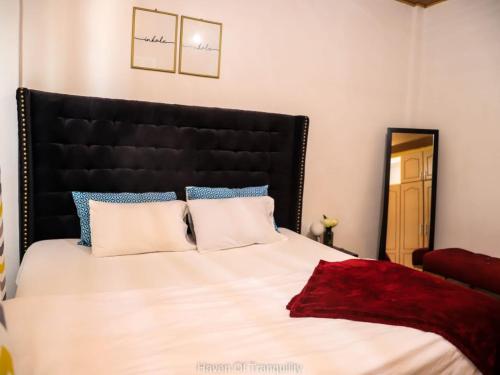 a bedroom with a large bed with a black headboard at Stay.Plus Milimani Apartment Kisumu in Kisumu